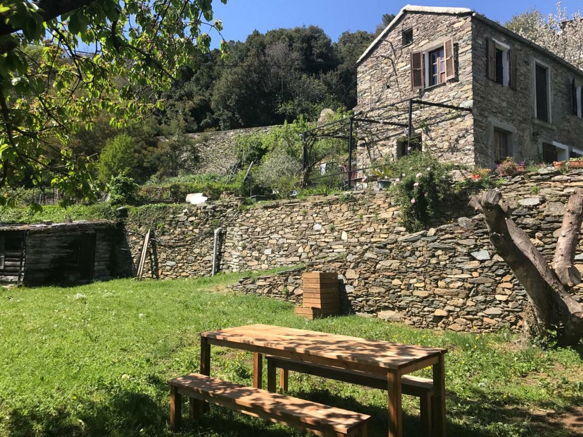Maison De Charme Corse Sauvage Pietra-di-Verde 外观 照片